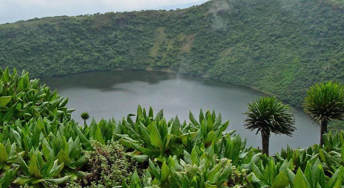 1-Day Hiking Mount Bisoke to Crater Lake